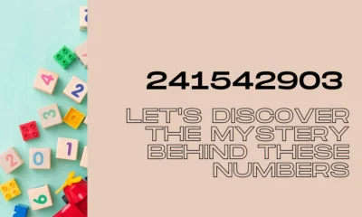 Let’s Discover The Mystery Behind These Numbers: 241542903