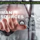 PedroVazPaulo Human Resource Consulting Understanding