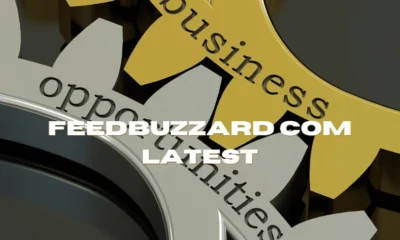 Feedbuzzard com Latest: Your Comprehensive Guide to Updates and Opportunities