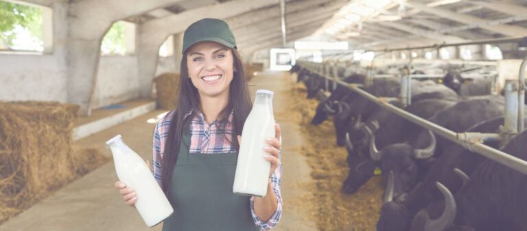 Wellhealthorganic Buffalo Milk: Natural Goodness for All Ages