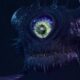 The Beholder: A Comprehensive Guide