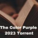 The Color Purple 2023 Torrent: A Modern Twist on a Timeless Classic