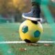 Futbolear: A Unique Training Tool or Thrilling New Sport?